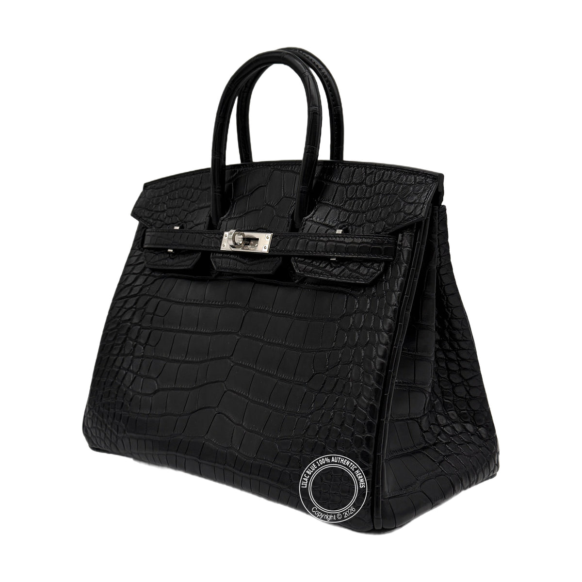 Hermès Birkin 25 Black Matte Palladium Hardware — view 5