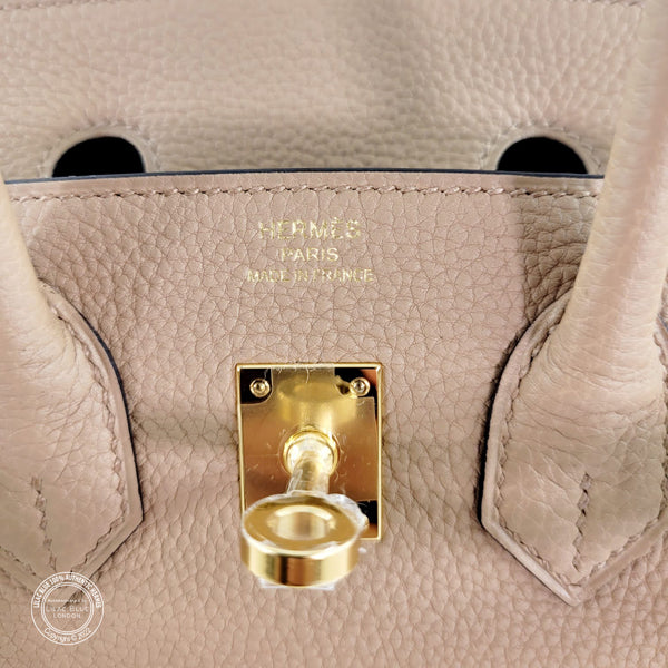 Hermès Birkin 25cm Chai Togo GHW