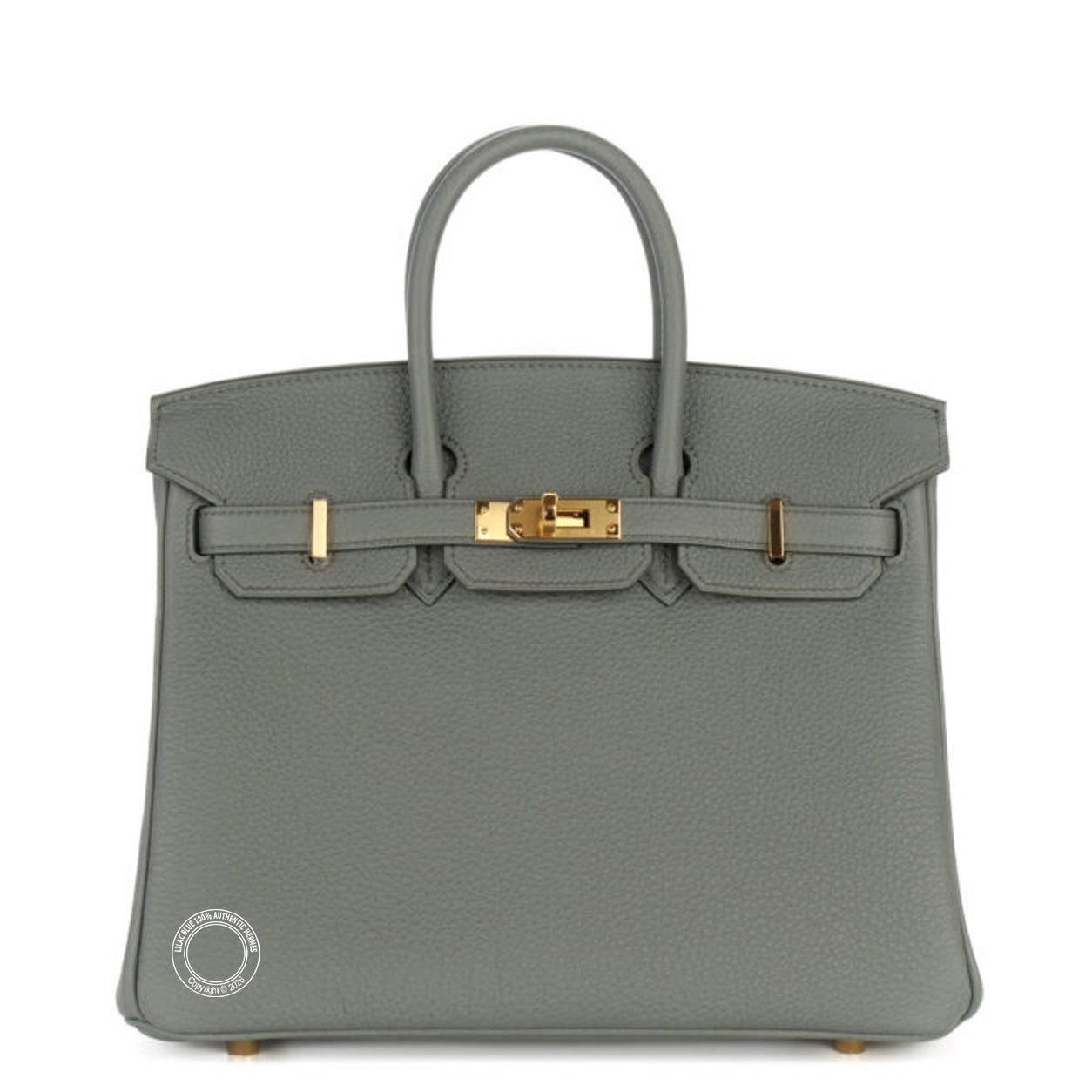 Hermès Birkin 25cm Vert Amande Togo GHW