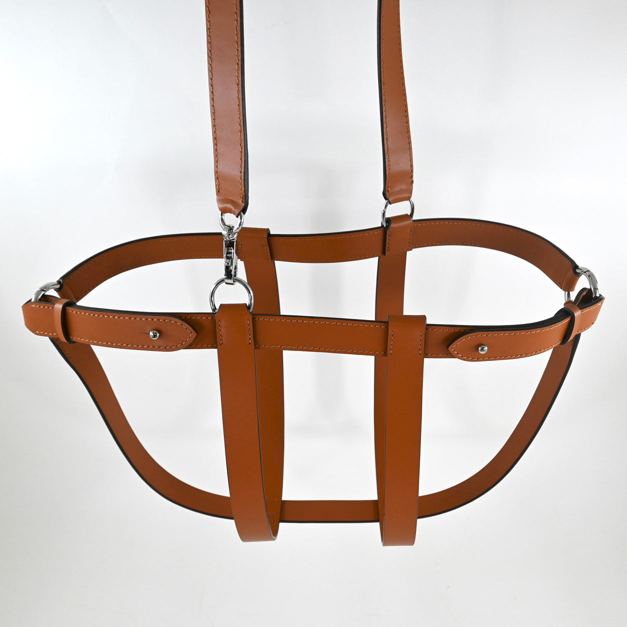 Birkin Harness Gold