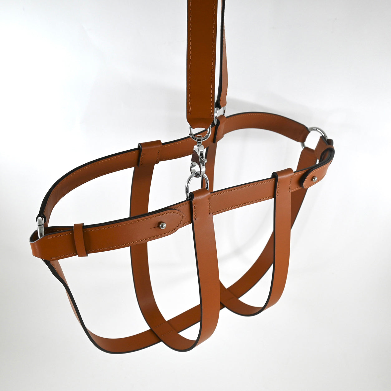 Birkin Harness Gold