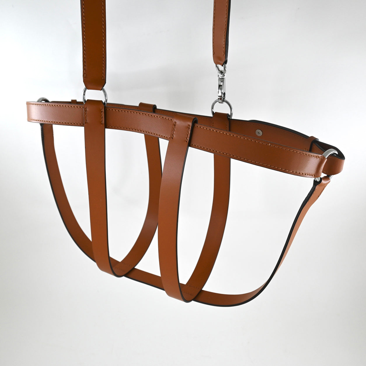 Birkin Harness Gold