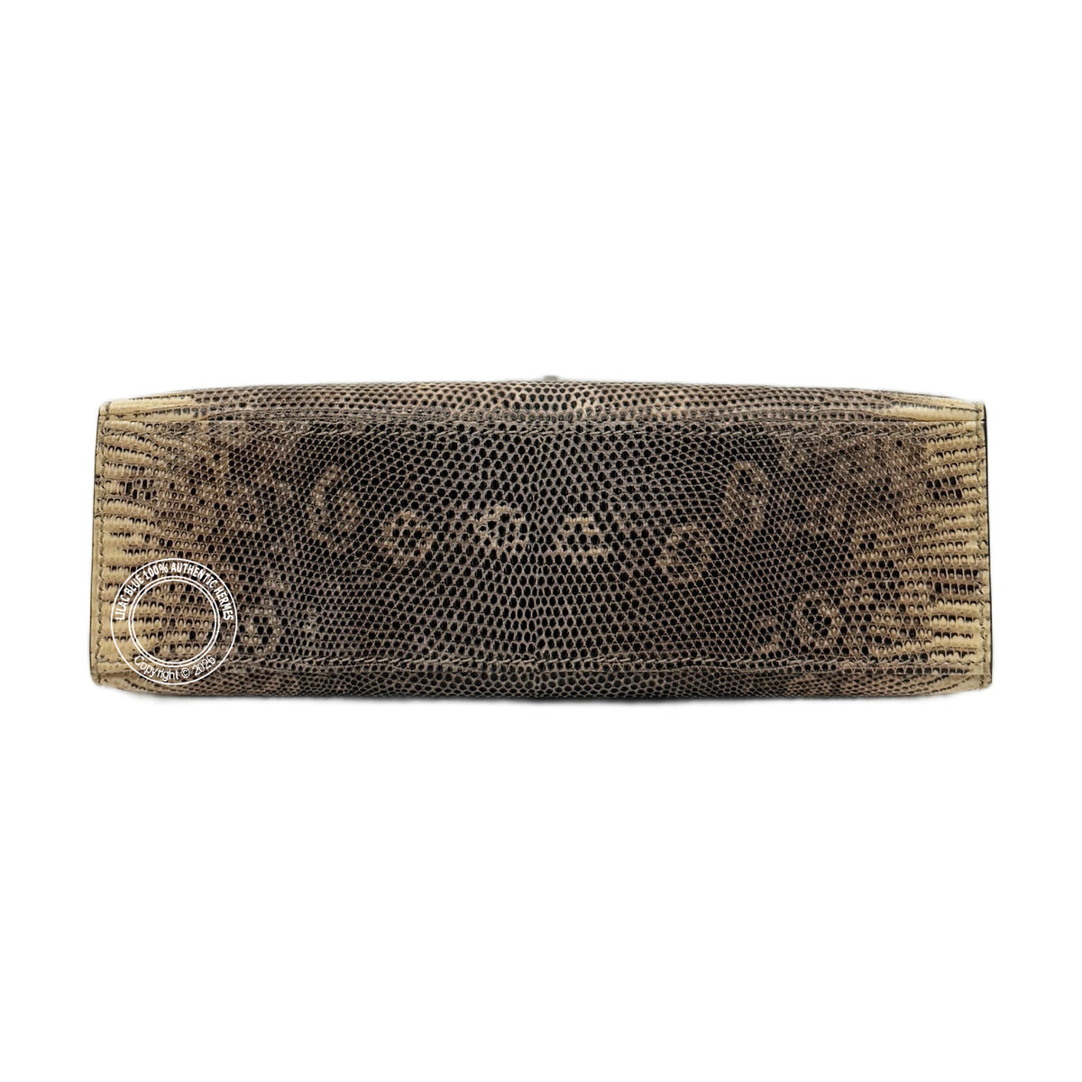 Hermès Kelly 22cm Ombre Pochette Lizard PHW