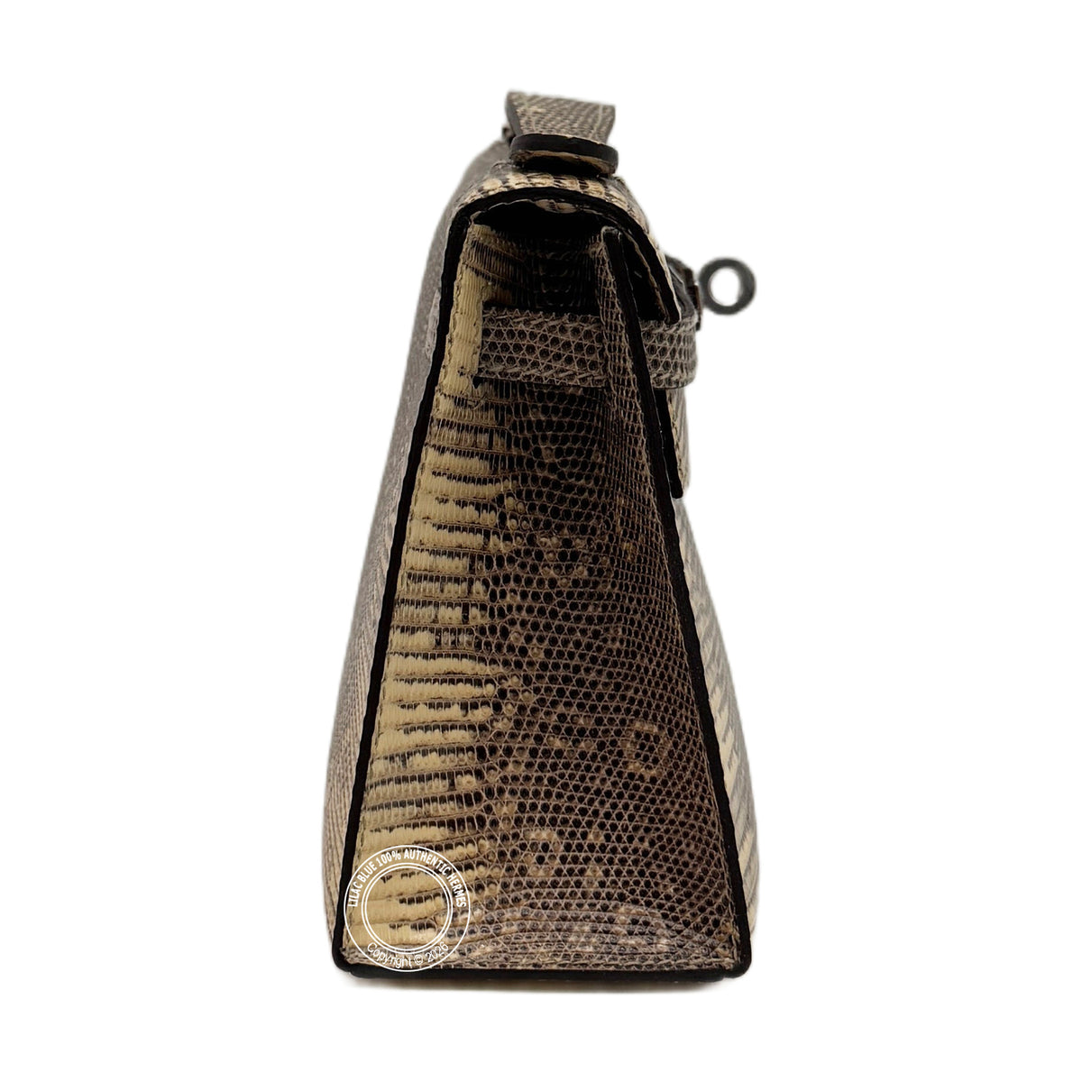Hermès Kelly 22cm Ombre Pochette Lizard PHW