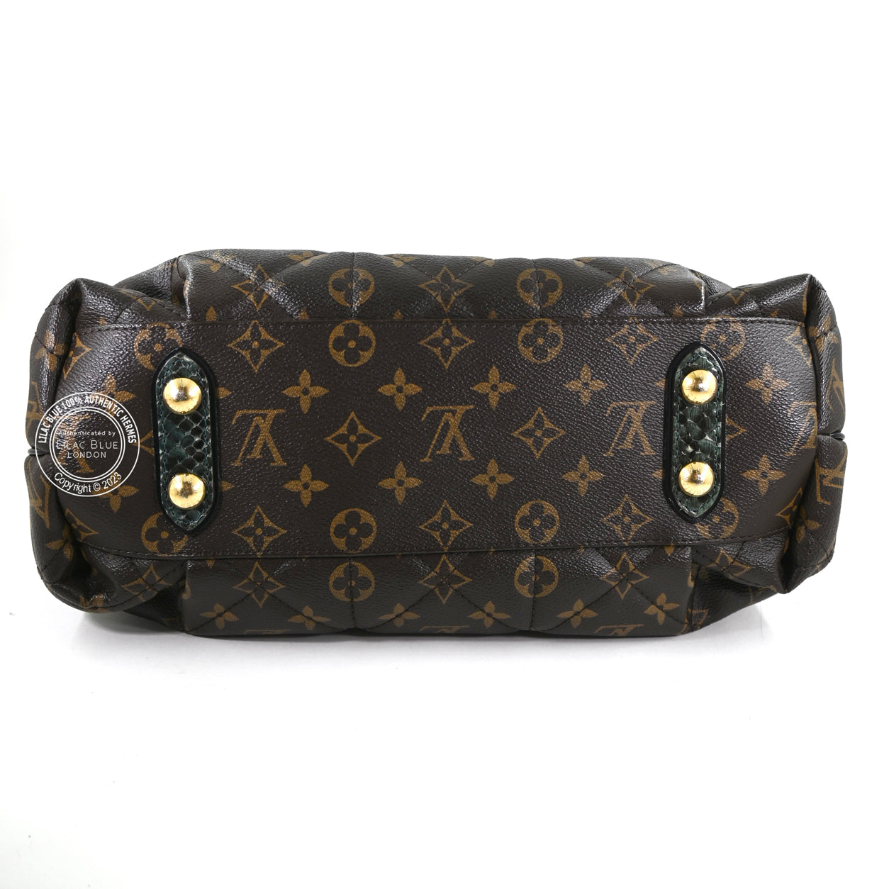 Louis Vuitton Ltd Edition Etoile Exotique Monogram Canvas GHW - Preloved
