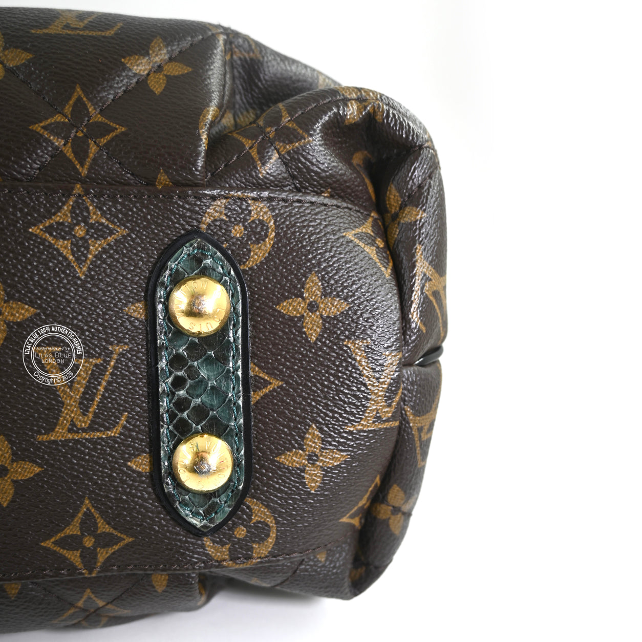 Louis Vuitton Ltd Edition Etoile Exotique Monogram Canvas GHW - Preloved