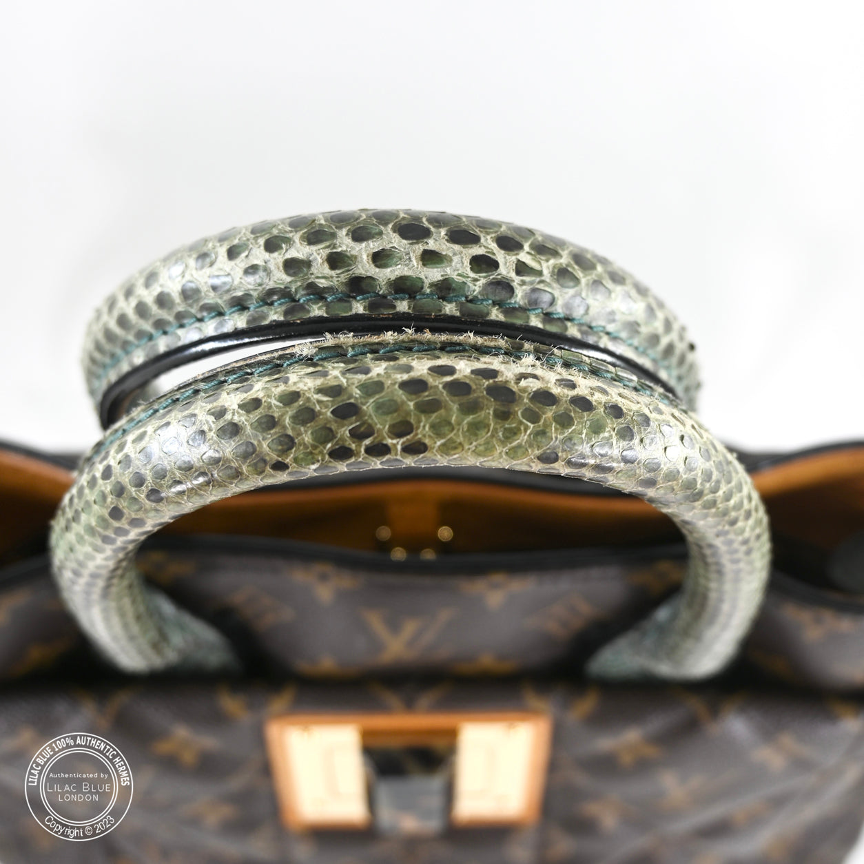 Louis Vuitton Ltd Edition Etoile Exotique Monogram Canvas GHW - Preloved