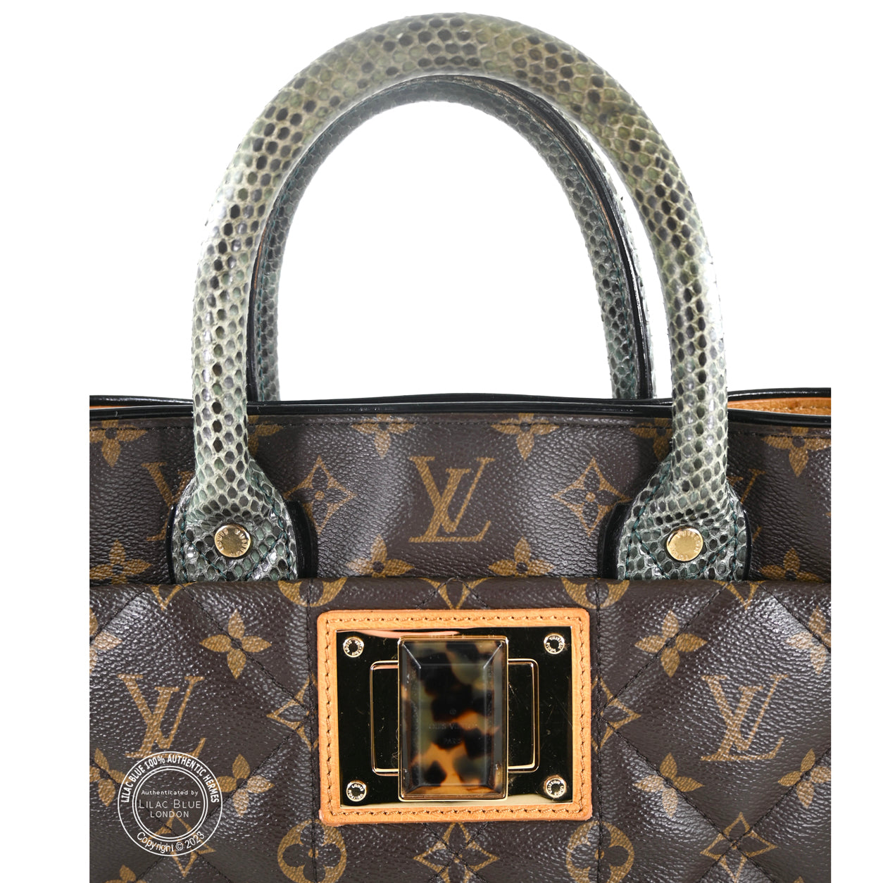 Louis Vuitton Ltd Edition Etoile Exotique Monogram Canvas GHW - Preloved