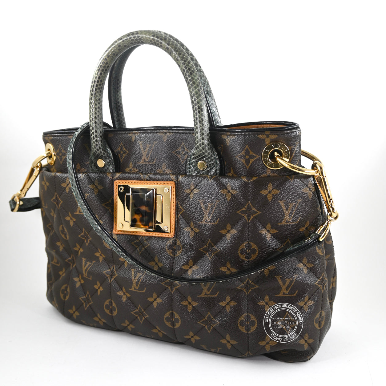 Louis Vuitton Ltd Edition Etoile Exotique Monogram Canvas GHW - Preloved
