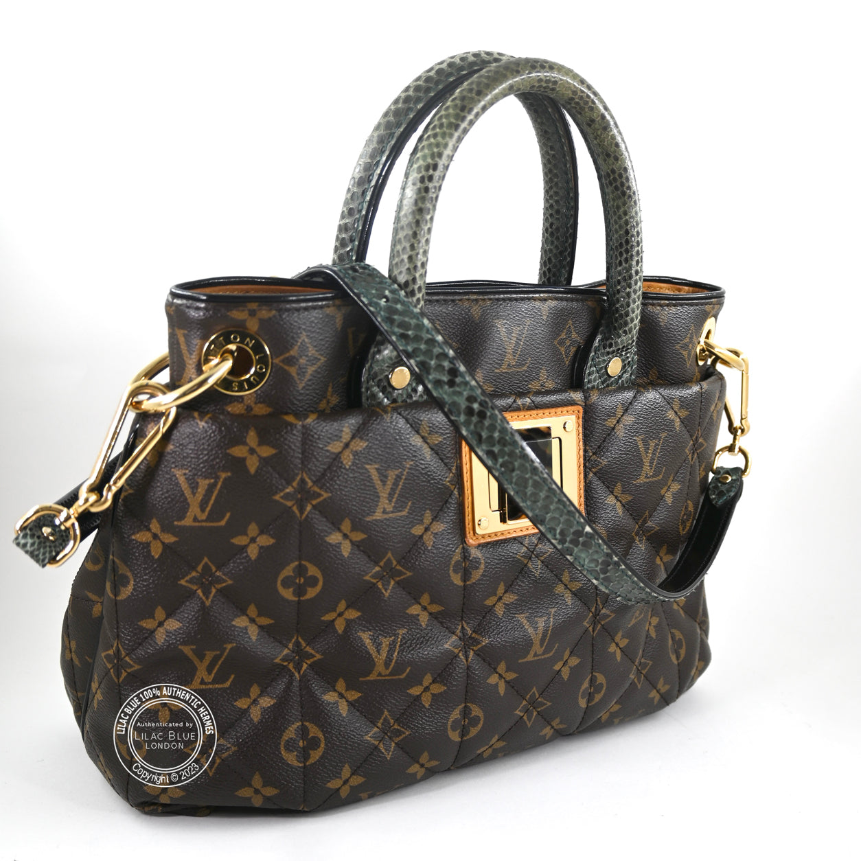 Louis Vuitton Ltd Edition Etoile Exotique Monogram Canvas GHW - Preloved