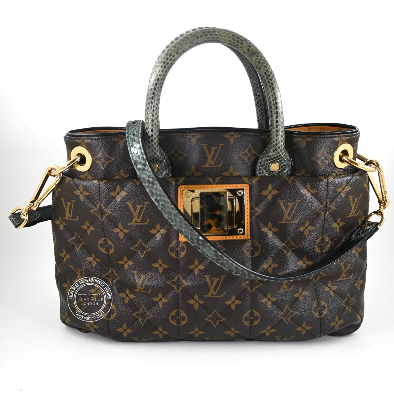Louis Vuitton Ltd Edition Etoile Exotique Monogram Canvas GHW - Preloved