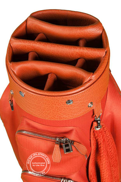Hermès Limited Edition Sac A Golf Chevron & Brique Buffalo Leather PHW