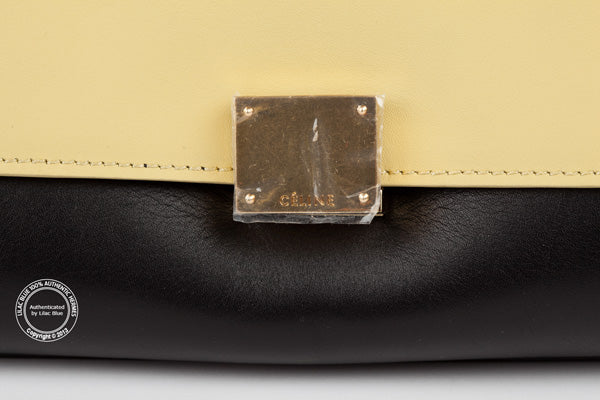 Celine Large Granite Trapeze Bag