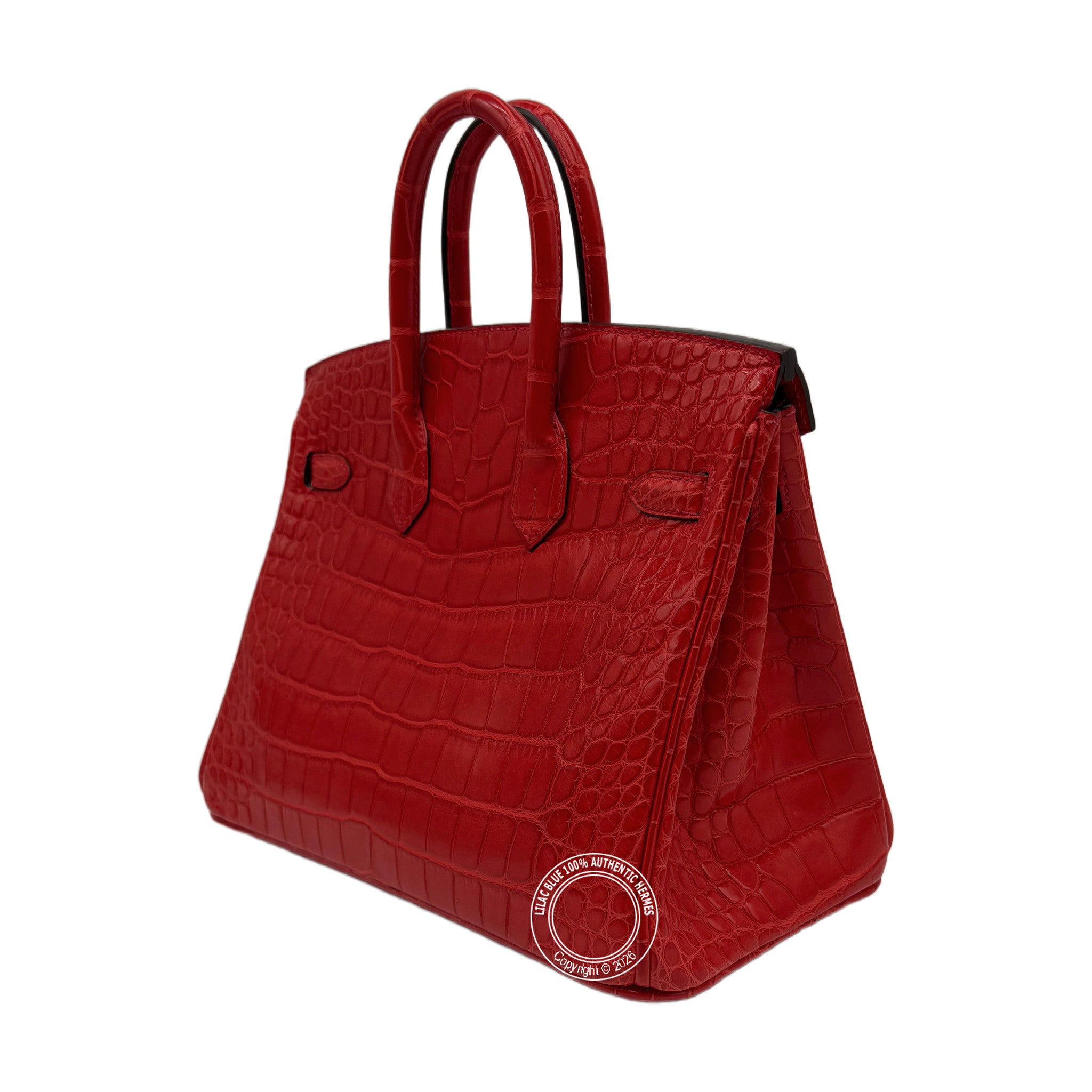 Hermès Birkin 25 Geranium Matte Alligator Palladium Hardware — view 4