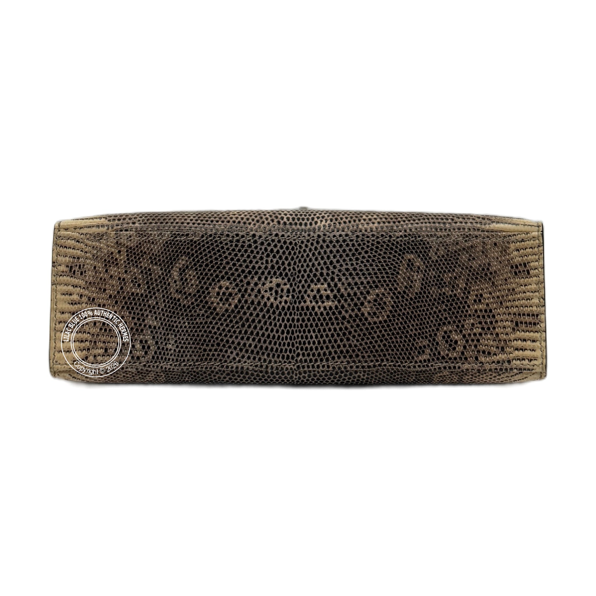 Hermès Kelly Pochette Ombre Lizard Ombre  Palladium Hardware — view 9