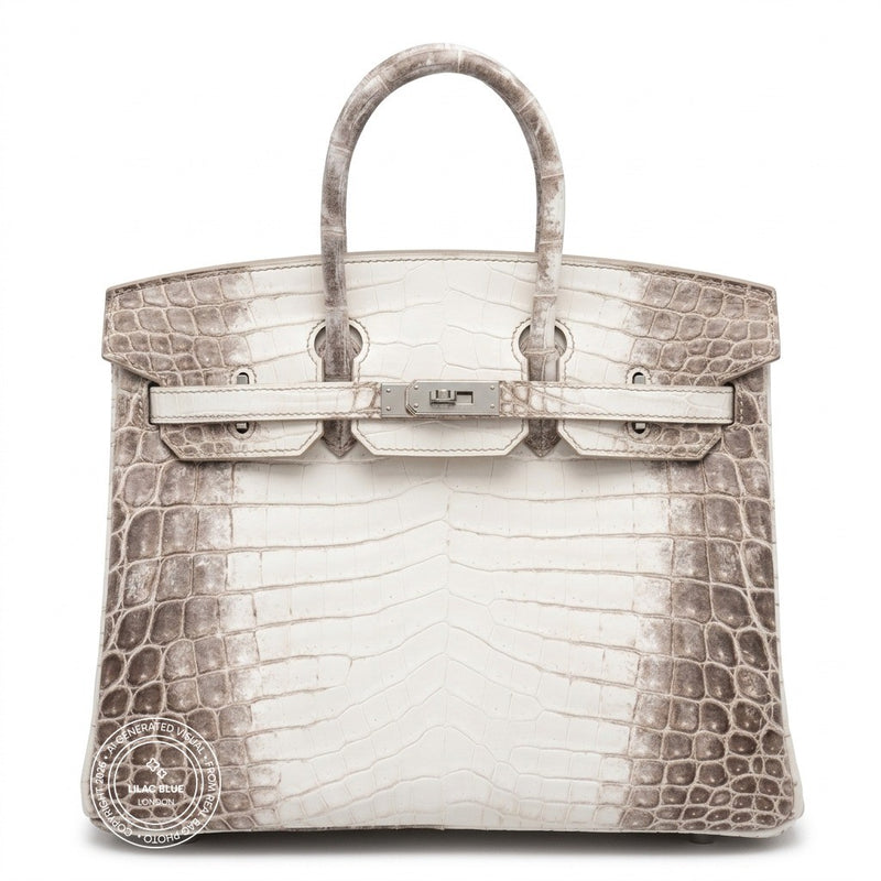 Hermès Birkin 25cm Himalaya Matte Croc PHW