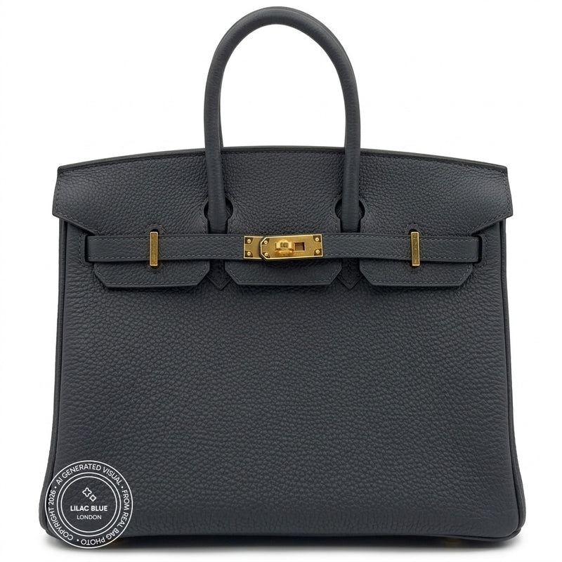 Hermès Birkin 25cm Gris Misty Togo GHW