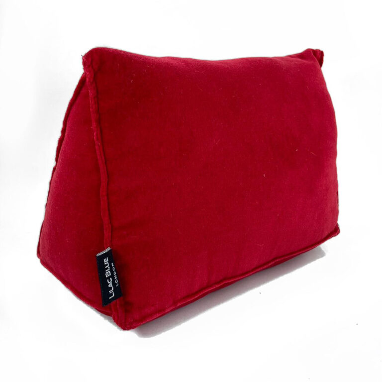 Birkin 25 Pillow Red