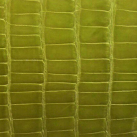 Vert Anis in Shiny Croc
